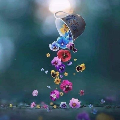 Taj3Rraas's profile picture. 