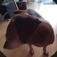 oskuFN (@waxkwaks) 's Twitter Profile Photo oskuFN (@waxkwaks) 's Twitter Profile Photo