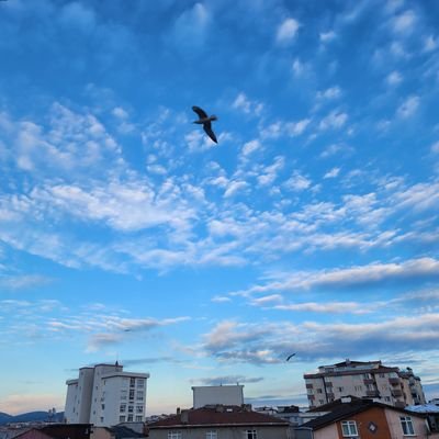 DumanSudem's profile picture. #Galatasaray💛❤
#Ebrugündeş💜💕
#Karadeniz💚💙
#Anne 👣💝
#dediğidedik👈
Zor olanı başarmana gerek yok doğru olanı yapman yeterli aslında.