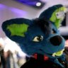 FurSnowki's profile picture. 🇨🇦 A happy straight and poly fluffy cosplayer from Montreal.
QAEA Member
