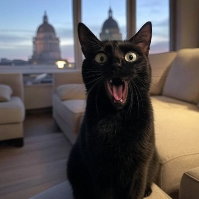 JuliaAn03598582's profile picture. A non feral account!!! Otters only. Feel like pure shit cause just want Levins & Hackins back. I am absolutely not Esther. honestly 😳
