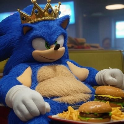 fatsonicteam's profile picture. 