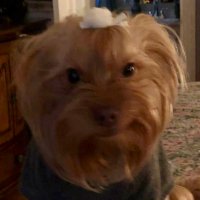 GmaMoses (@gmamoses7) 's Twitter Profile