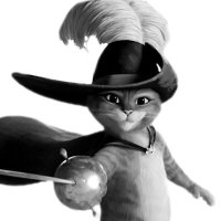 Leveraged Cat (@leveraged_cat) 's Twitter Profile