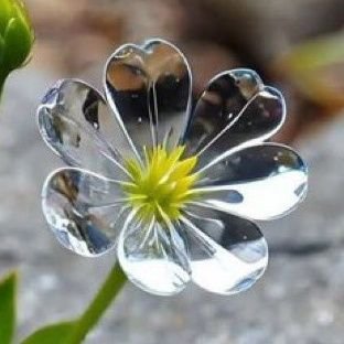 niagara373's profile picture. 野球大好き！スポーツ見るの大好き！SMAP大好き！な一般人です。舞台やライブ観るのも好きです。SMAPのライブかなり好きです。中居君の男気に惚れて以来、数十年も過ぎました。好きも仕事もあれもこれも忍耐と継続が大事。
（ヘッダーは映画舞台挨拶の時の森くんの♥）198964