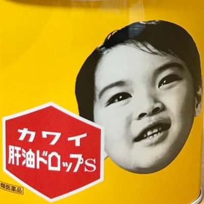 雑多アカウントですが目下、数年後に地方→都心を控え進路方針見直し中につきそちらの情報探索メイン。予習シリーズ+東進オンライン+小学生基礎英語。2028組。