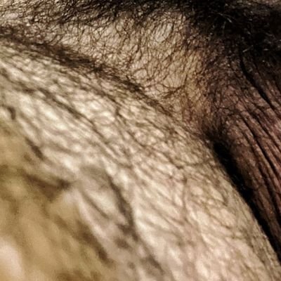 yosuaMTY's profile picture. invitame