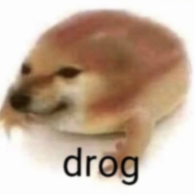 Im not a dog, Im not a frog, IM A DROG! 🐸 || https://t.co/UaOtnxLN1J || ca: 0xce153b8cc253b3a3a84225fb4931a77ab4fbee45