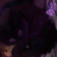 takingback_Erika (@erikahoman807) 's Twitter Profile