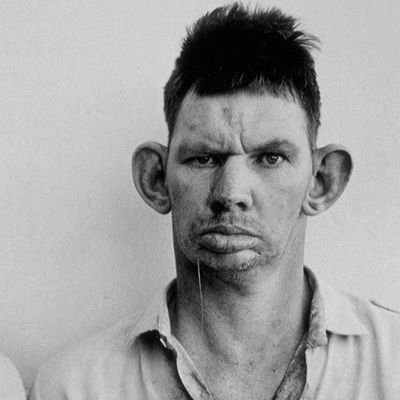 alertpostmodern's profile picture. 