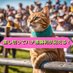 多趣味な楽天社員⭐️Cats&HorseLOVE (@trifectahit_w0w) Twitter profile photo 多趣味な楽天社員⭐️Cats&HorseLOVE (@trifectahit_w0w) Twitter profile photo