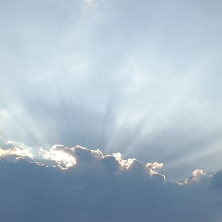 MaxNoise1104's profile picture. 有梦想的闲鱼