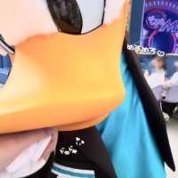 πΈπͺπβΈβ (@donapi69) 's Twitter Profile