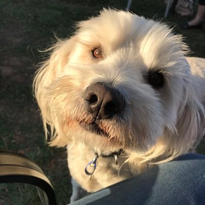 bruce_ian's profile picture. Fighting the good fight ….