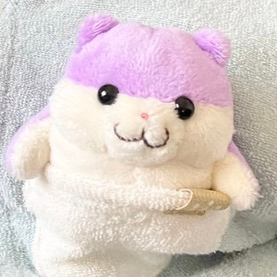 Asami Nanba 鍵盤と歌と作詞作曲。耳がいい。かつてあーちゃんと呼ばれていたような気がする。だいたい記憶飛んでる。