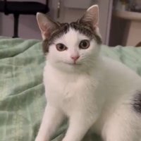 Metin Yapıcı (@anlamsizdygular) Twitter profile photo