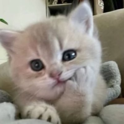 7_gooner24's profile picture. I can’t stopppp THE ASS GOD OWNS MY PATHETIC COCK. IM