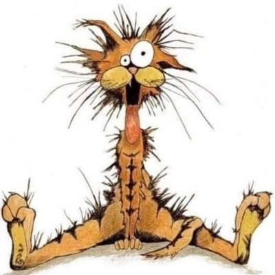 BillTCatz's profile picture.