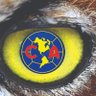 VISIONAGUILA_'s profile picture. Ex jugador Americanista  en juveniles , crítico  y fan Águila de toda la vida!!