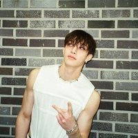 bang chan. (@gnabcanh) 's Twitter Profile