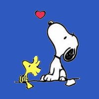 ツチノコ2 サブ (@apple_c_camera2) 's Twitter Profile