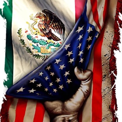bridgethegapUSA's profile picture. 28 • Conservative • Republican • I will stop at nothing to defend my Mexican friends and family • Dallas, TX •