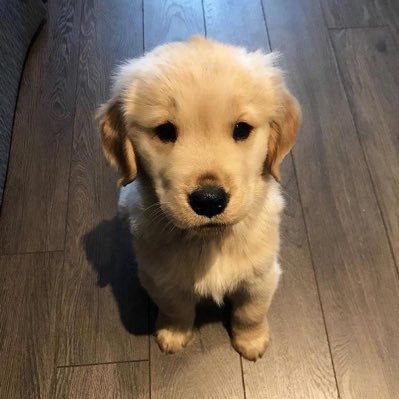 huuyenwq's profile picture. จ๋อง