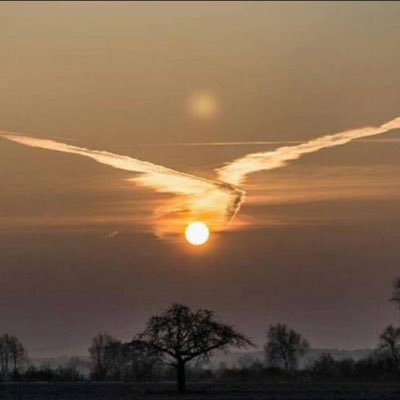 nao_nao0129's profile picture. 家庭こそ幸福の原点/三世代家族が理想/信教の自由=人間の尊厳/個人事業主(教育関係)/美しい日本を取り戻す/スパイ防止法制定を/猫好き🐈‍⬛/無言フォロー失礼します^ - ^