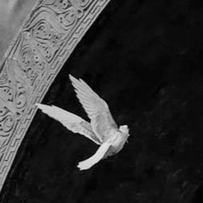 arwa_ssok's profile picture. Psycholinguist | Lecturer 🇸🇦| MA 🇬🇧| https://t.co/zNbVmPOo0b | Between the mind/ brain & language, the story unfolds.