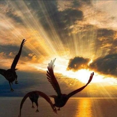 Parvez777777777's profile picture. 