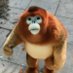 Ape (@ape533) Twitter profile photo Ape (@ape533) Twitter profile photo