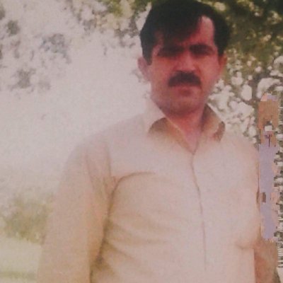 tayebmanes46917's profile picture. دارای مدرک دکترای ایران گردی،وهمچنین،،،،،،