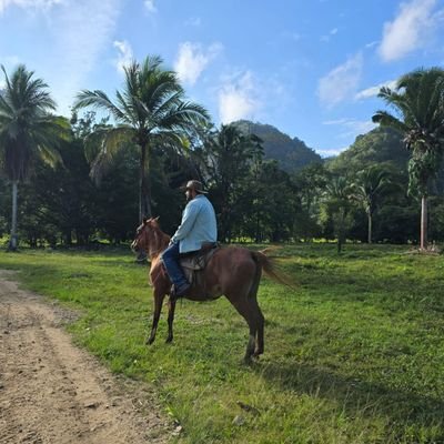 vibapaiz's profile picture. Aut viam inveniam aut faciam.