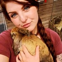 Lisa Davis (@lisadavis39084) 's Twitter Profile