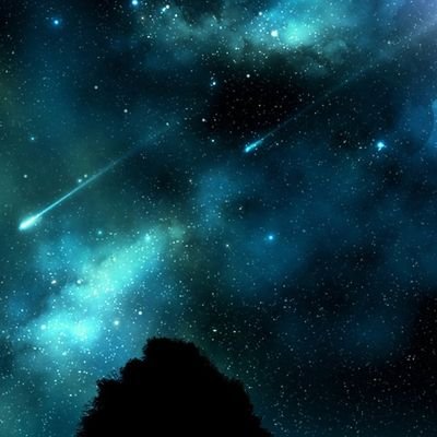 弥沙(KNT最推し)さんのプロフィール画像