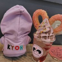 ♡MISAKO♡ (@0806misako) 's Twitter Profile