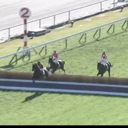 fumikitteeejump's profile picture. 障害競走が好きです!
初心者ですがよろしくお願いします!
名前はいつか決めます
誰かの競馬関係垢
無言フォロー失礼します
好きな障害騎手…土田騎手、坂口騎手