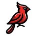 Cardfanatic (@ilovethecardss) Twitter profile photo Cardfanatic (@ilovethecardss) Twitter profile photo