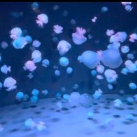 めあり (@hqzro3zggd31409) Twitter profile photo