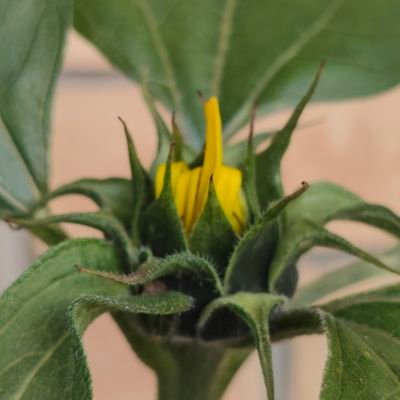 BaserSocialMedi's profile picture. Darryl Baser, happily married, 50+, dad, musician, journalist and dangerous goods handler  https://t.co/VnX1P7NybM