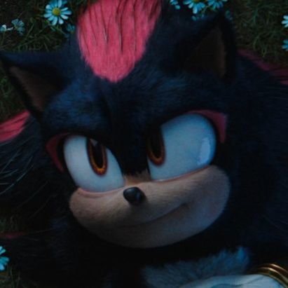 gothhedgehog's profile picture. arrested for tw*tter crimes. 26