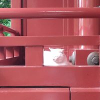 takataka (@mah0zincie1) 's Twitter Profile Photo takataka (@mah0zincie1) 's Twitter Profile Photo