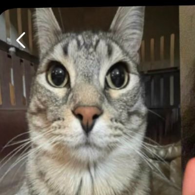 sol_waa's profile picture. 