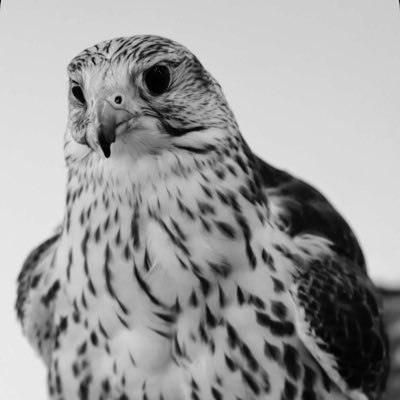 br8876294249555's profile picture. 