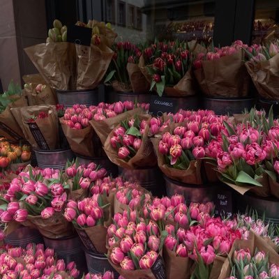 finvino07's profile picture. 