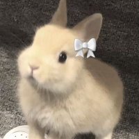 caeaalys (@scriptumine) 's Twitter Profile