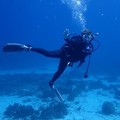 ブランクダイバーだけど…やはり海が大好き(*'▽'*)♪仕事上なかなか、休みが取りにくいし、近くに海もない県!マクロ、ウミウシ、カクレエビ大好き! 頑張って行きましょ〜٩(´・ω・`)و