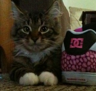 jules14fan's profile picture. 