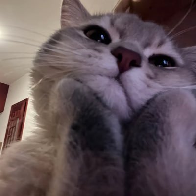 ZXing6789's profile picture. 