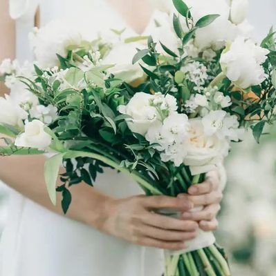 mitaochongji's profile picture. 嘘